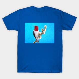 Red Headed Woodpecker T-Shirt